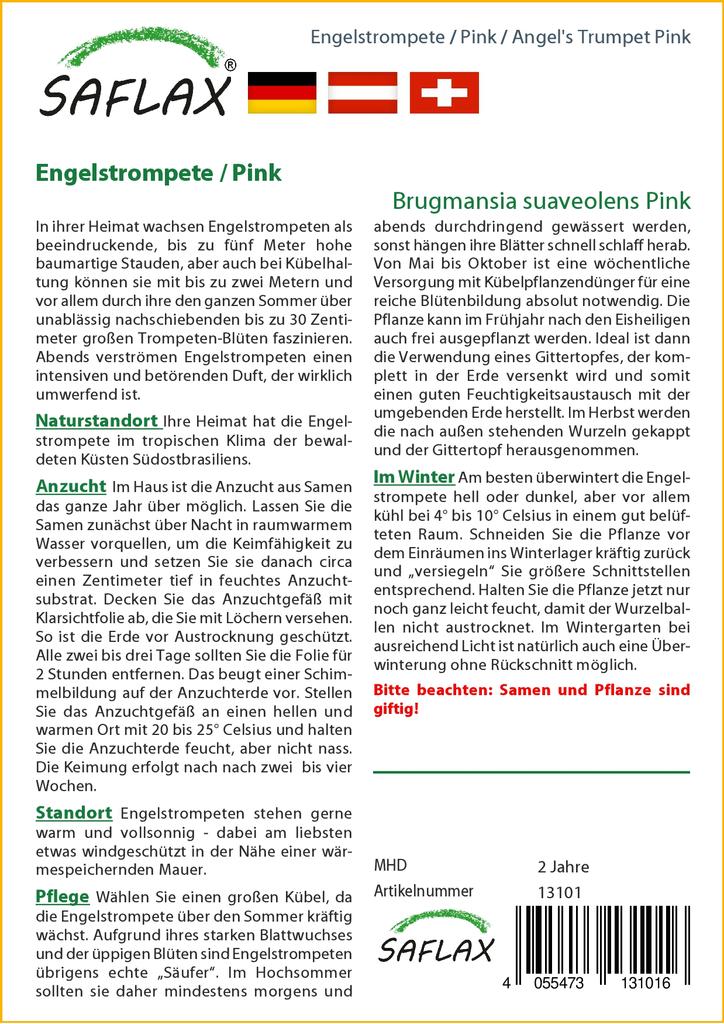 SAFLAX Angel's Trumpet Pink - 10 семян - Brugmansia suaveolens Pink