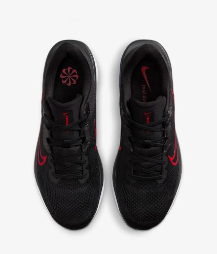 Nike Мужские кроссовки для бега Quest 6 FD6033-011