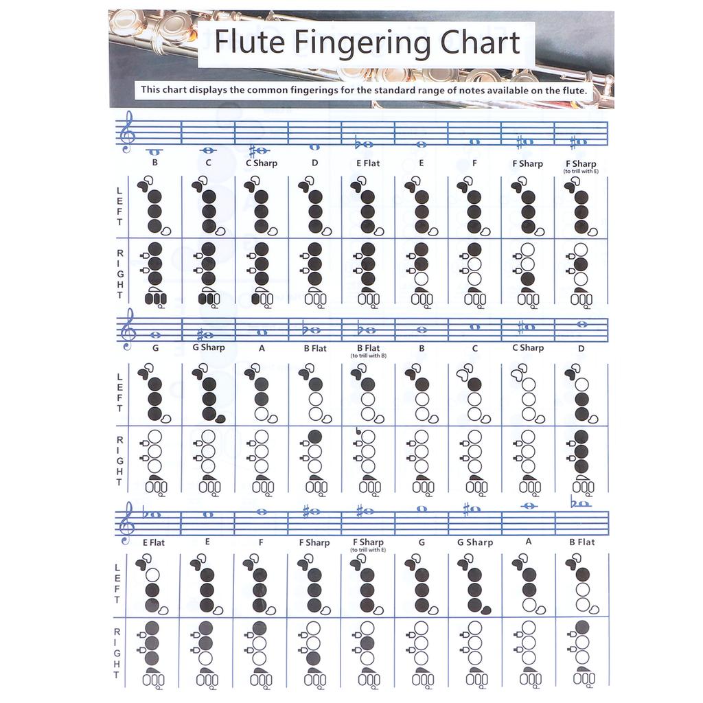 Flute Fingering Chord Chart Beginner Student Practice Teaching Aids Instrument