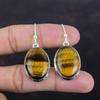 Tiger's Eye Earring 925 Sterling Silver Earring Handmade Earrings Genuine Gemstone Earring Healing Stone Jewelry Gifts For Mom Drop Earring