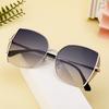 Irregular Large Frame Sunglasses Women'S High-End Nylon Sunglasses Women'S Tide Windproof Glasses