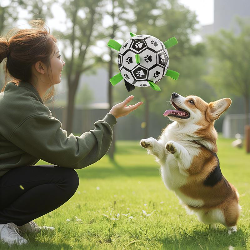 Self-Play Bite-Resistant Dog Toy Ball for Border Collies, Labradors, and Corgis