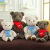 New Scarf Bear Plush Toy Cartoon Skin-friendly Hug Bear Companion Doll Doll Give Girls and Children Gifts