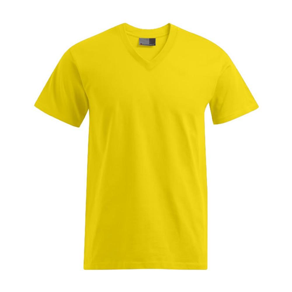 Promodoro Unisex Adult Premium V Neck T-Shirt