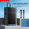 Портативная Bluetooth-колонка на колесиках Newmine N529, 15 дюймов, с китайской вилкой (адаптер в комплекте)