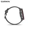 Смарт-часы Garmin Forerunner 255 (Китайская версия)