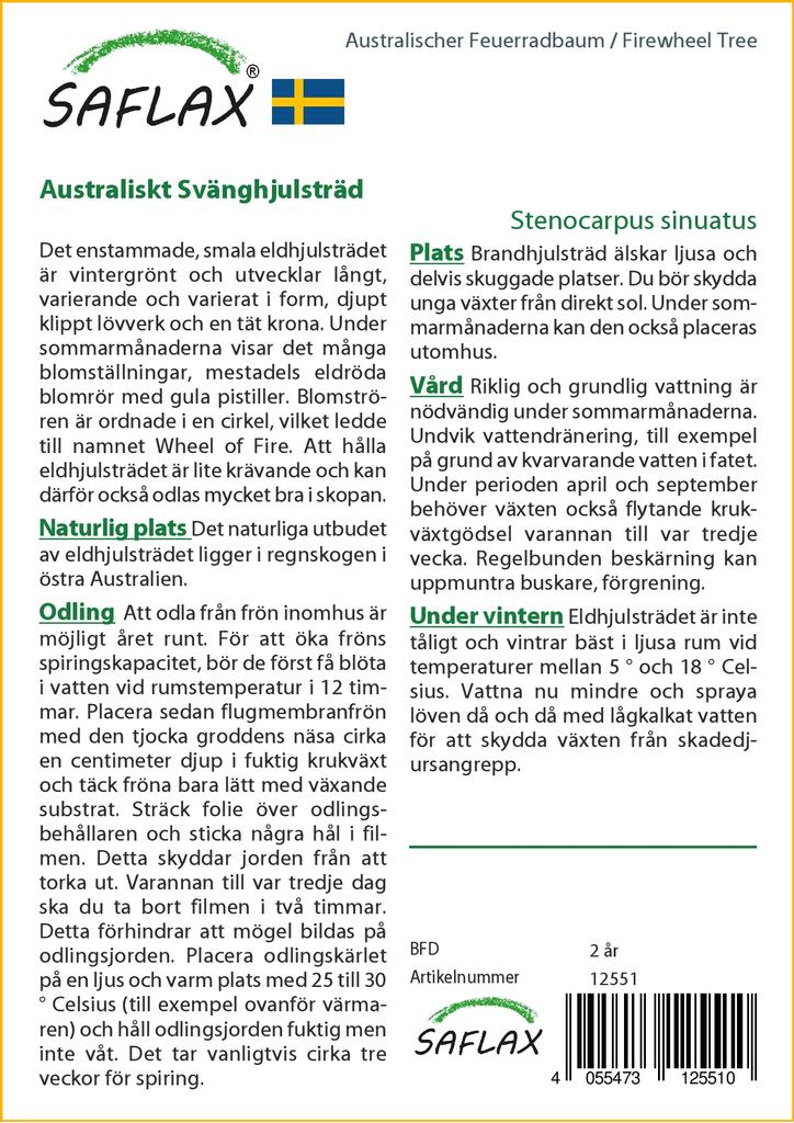 SAFLAX Дерево Firewheel Tree - 20 семян - С горшечным субстратом для лучшего выращивания - Stenocarpus sinuatus