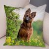 Sofa Home Pillowcase German Shepherd  Decoration Pet Animal Cushion