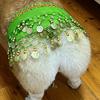 Dog Belly Dance Costume Corgi Dog Waist Chain Butt Curtain Clothes with