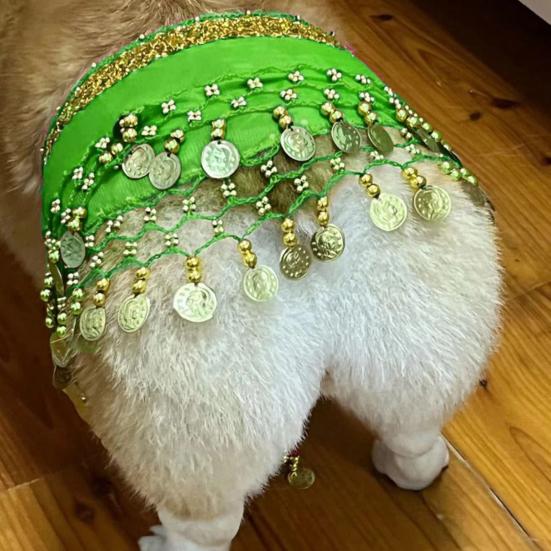 Dog Belly Dance Costume Corgi Dog Waist Chain Butt Curtain Clothes with