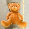 [USED] Extra-large teddy bear