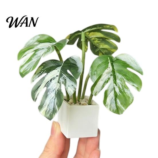 Dollhouse Accessories 1:6 Miniature Simulated Potted Plant, Realistic Artificial Greenery with White Square BJD Furniture Basin, Desktop for