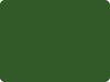 ACRYLIC SPRAY VARNISH RAL 6002 LEAF GREEN