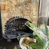 Plastic Aquarium Filtration Flow Diverter Aquarium Water Filling Device  Fish Tank Accessories