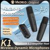 Simsiz Karaoke Hamrohi Bluetooth 5.3 Dinamik Mikrofon KTV DSP Mikser Tizimi 3.5MM AUX Type-C Kuchaytirgich Xosti Karnay Avtomobil uchun