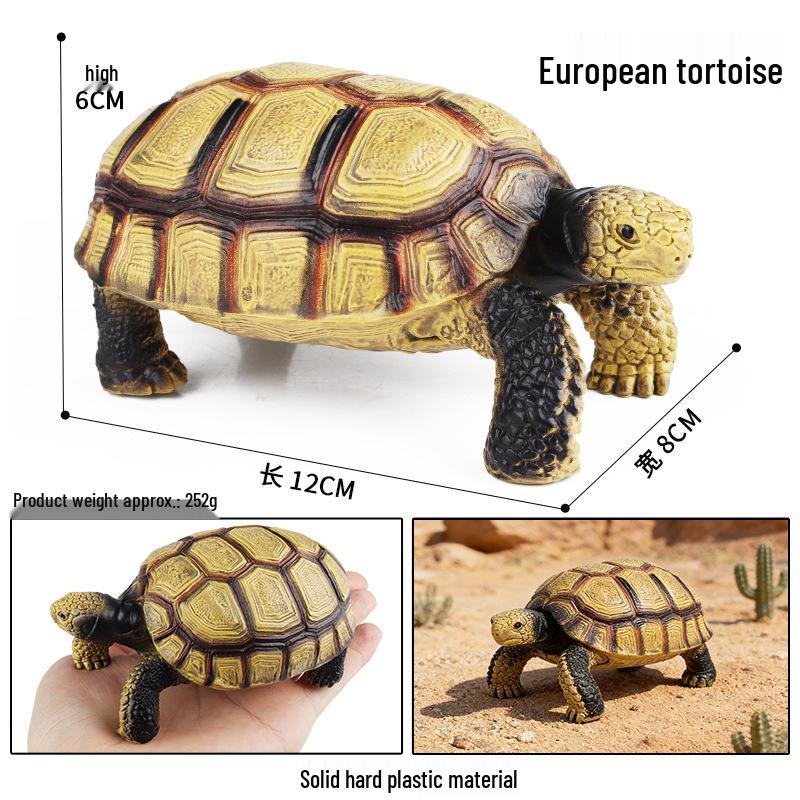 Детские когнитивные модели морских животных: Игрушки Морская Черепаха и Черепаха