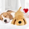 Pet Heartbeat Puppy Behavioral Training Dog Plush Pet Comfortable Snuggle Anxiety Relief Sleep Aid Doll Durable Pet Supplies