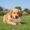 Bite Resistant Dog Elastic Ball Money Bag Shape Pet Interactive Ball  Interactive Play