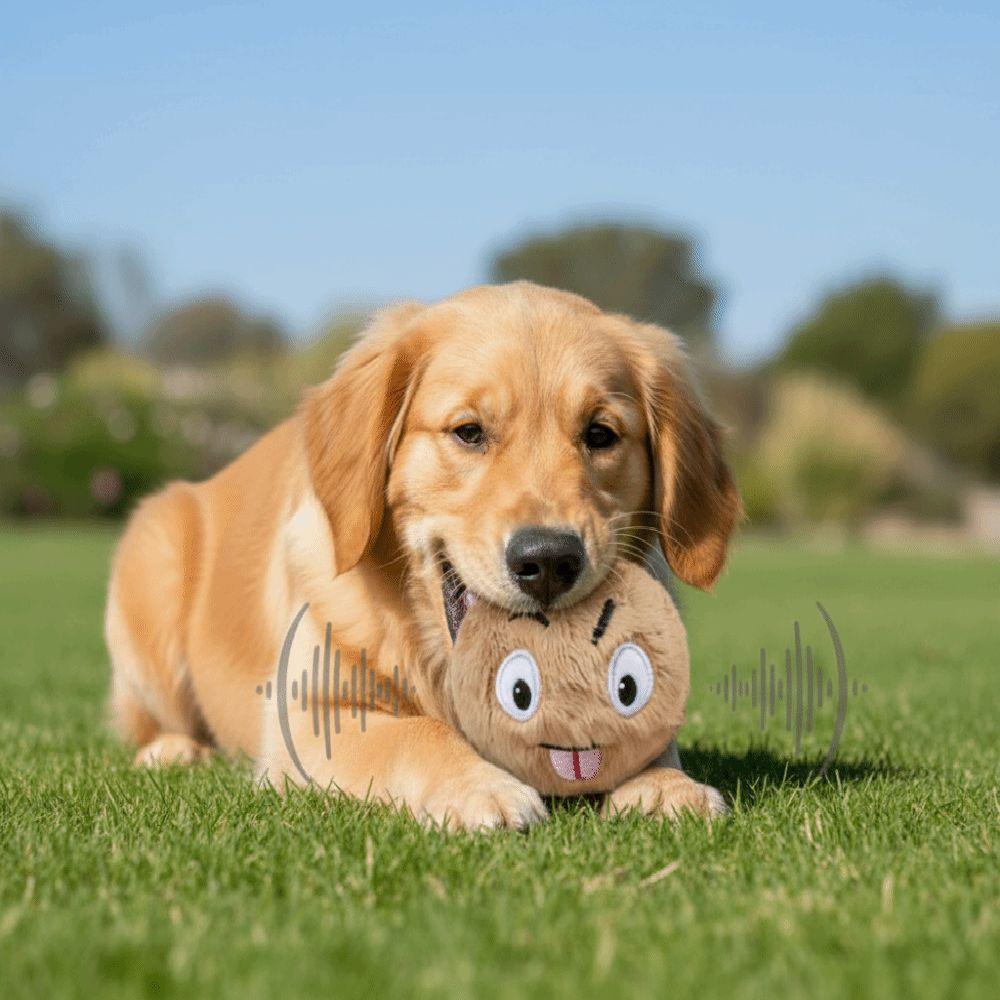 Bite Resistant Dog Elastic Ball Money Bag Shape Pet Interactive Ball Interactive Play