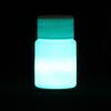 20g Cool Party DIY Craft Glow In The Dark Luminous Paint Pigment Acrylic
