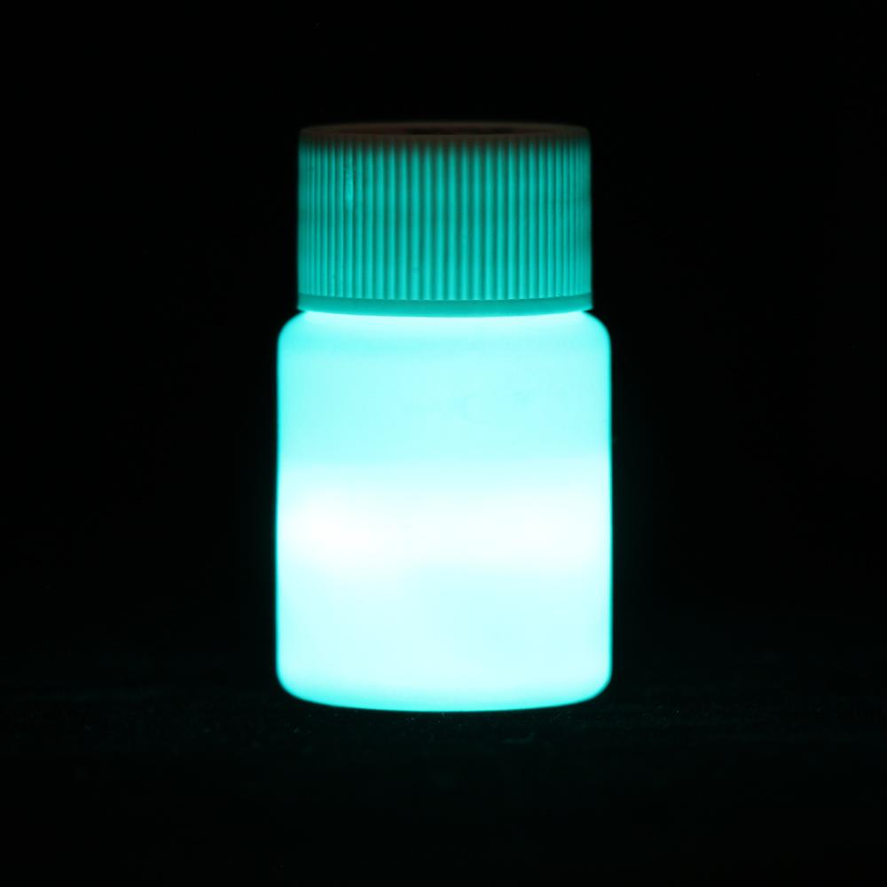 20g Cool Party DIY Craft Glow In The Dark Luminous Paint Pigment Acrylic