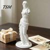 Photography Prop Statue 3D Printed Minimalist Goddess Sculpture, Retro European Armless Statue, Classical Small Decorative for Desk Art Figurine Home