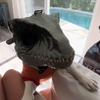 Маска на голову питомца собаки Маска динозавра 3D Маска динозавра Реалистичный Раптор Дино Движущаяся челюсть Маска динозавра