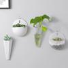 Indoor Plant Wall Decoration Hanging Plastic Flower Hanging Flower Pot