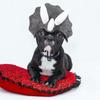 Pet Dinosaur Hat Adjustable Triceratops Cap Dog Costume Festival Headgear Funny Dog Party Hat Pet Dinosaur Cosplay