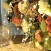 Ocean Pearl Beads String Lights, 2M 20 LED Lights Battery Powered for Wedding, Birthday Parties DIY Home Mantel