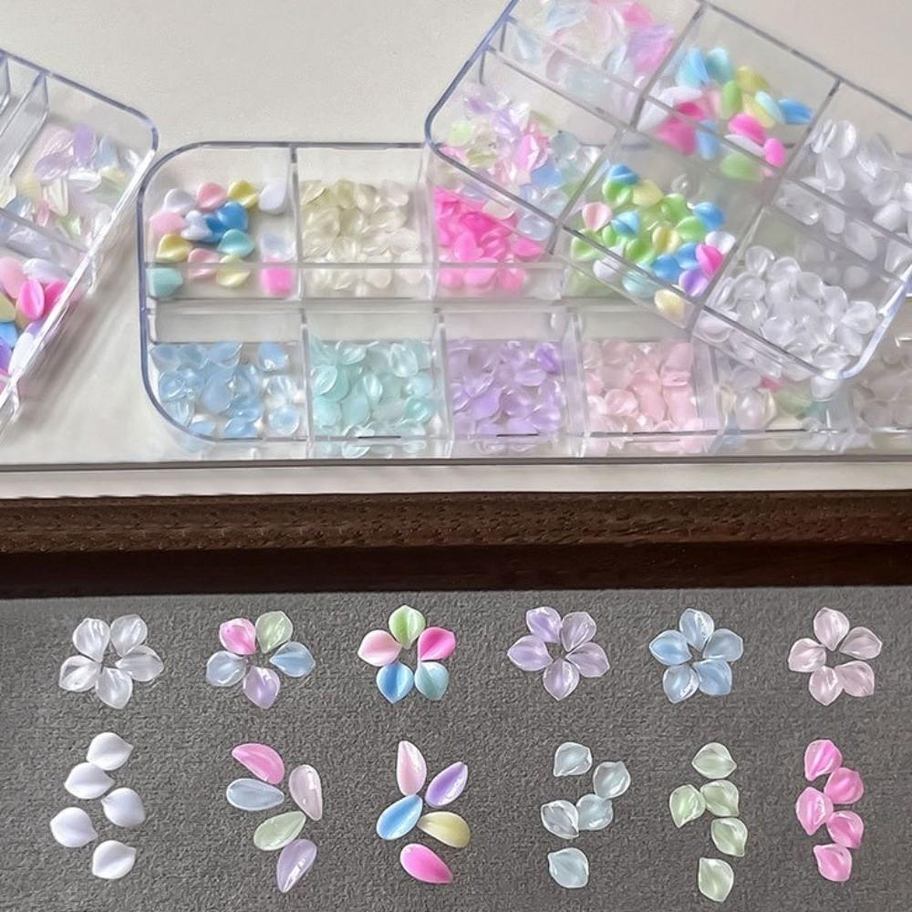 Colorful Nail Art Sequins Kit Transparent Nail Charms Decorations Nail Decoration