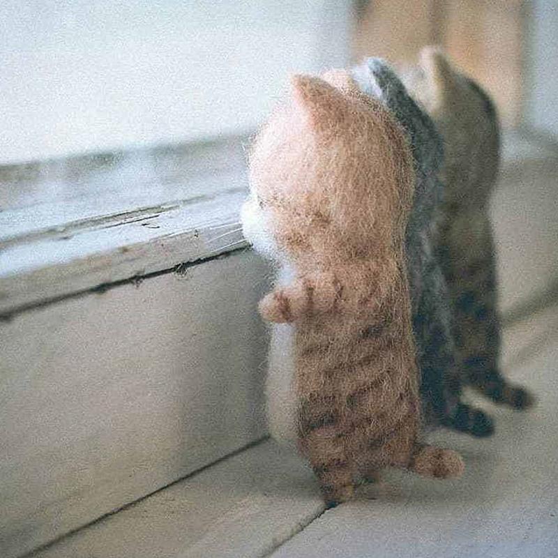 Cute Kit Unfinish Wool Doll Kitty Siamese Hawksbail Tabby Civet Cat Needle Felt Kit Package