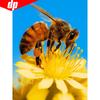 Алмазная мозаика Цветок и пчела 5D DIY Алмазная картина Вышивка