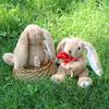 Plush Hug Flower Bunny Toy With Pp Cotton Filling For Easter Gift Girls And Kids