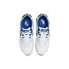 Nike Air Max 90 Белый Game Royal Photon Dust FN6843-100