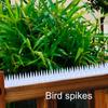1 шт. наружные пластиковые шипы для ограждения безопасности отпугиватели кошек и птиц, доступные на садовых фермах для голубей и енотов, прозрачные шипы
