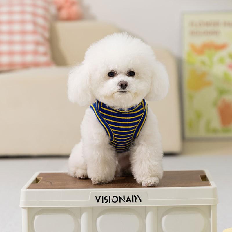 Lightweight Cartoon Striped Bear Vest Small Dogs Teddy Two-Legged Outfit With Leash Hole