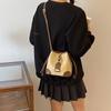Stylish Korean Fashion Casual Women's Bucket Bag Trendy Fall Collection In Black And Brown