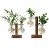 Creative Glass Desktop Planter Bulb Vase Wooden Stand Hydroponic Plant Container Home Tabletop Decor Vase Stand Dropshipping Hot