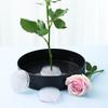 Round Flower Arranger Rectangle Pin Frog Holder Creative Fixed Arranging Tool  Flower Arranging