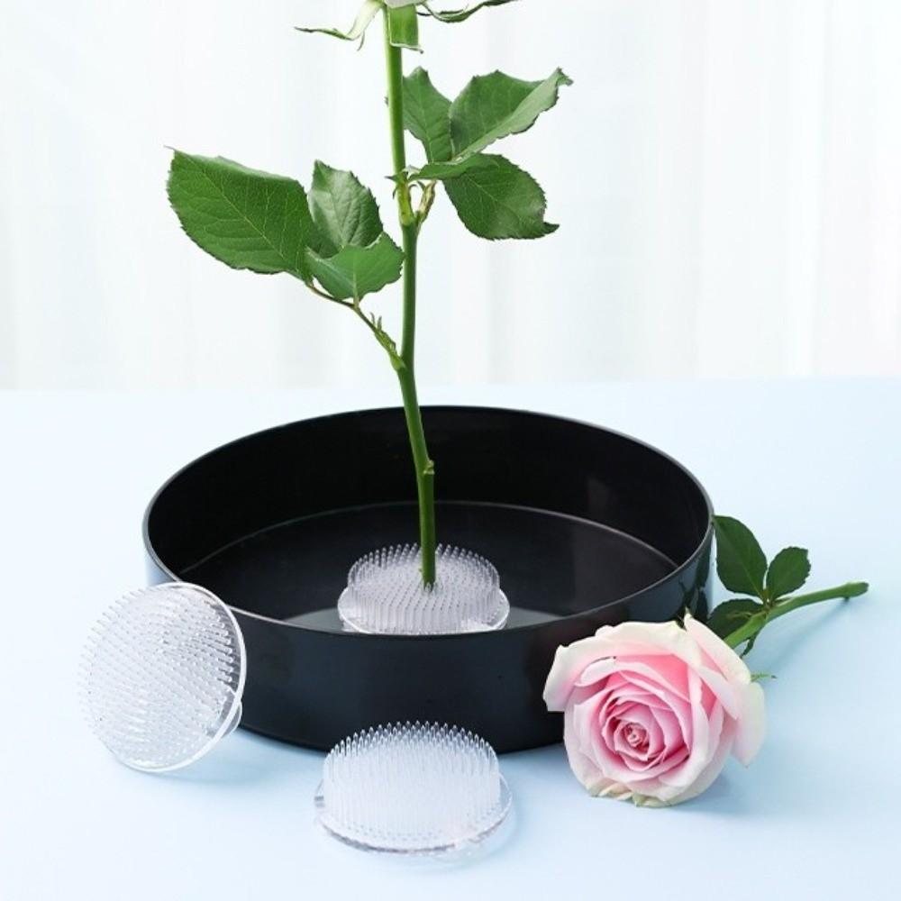 Round Flower Arranger Rectangle Pin Frog Holder Creative Fixed Arranging Tool  Flower Arranging
