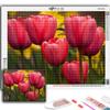 5D DIY цветы тюльпаны вышивка крестиком стразы Алмазный рисунок вышивка мозаика домашний декор