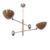 2 Light Pendant Mid Century Modern Raw Brass Sputnik chandelier light Fixture