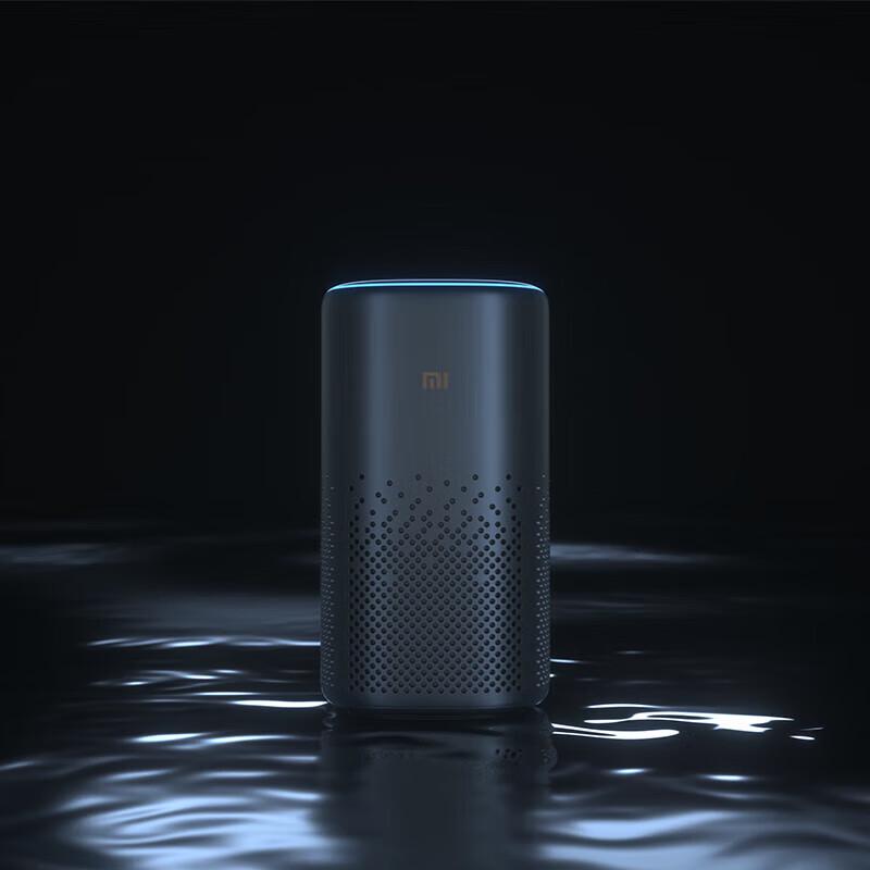 Xiaomi XiaoAI Speaker Pro вилка CN (адаптер в комплекте)