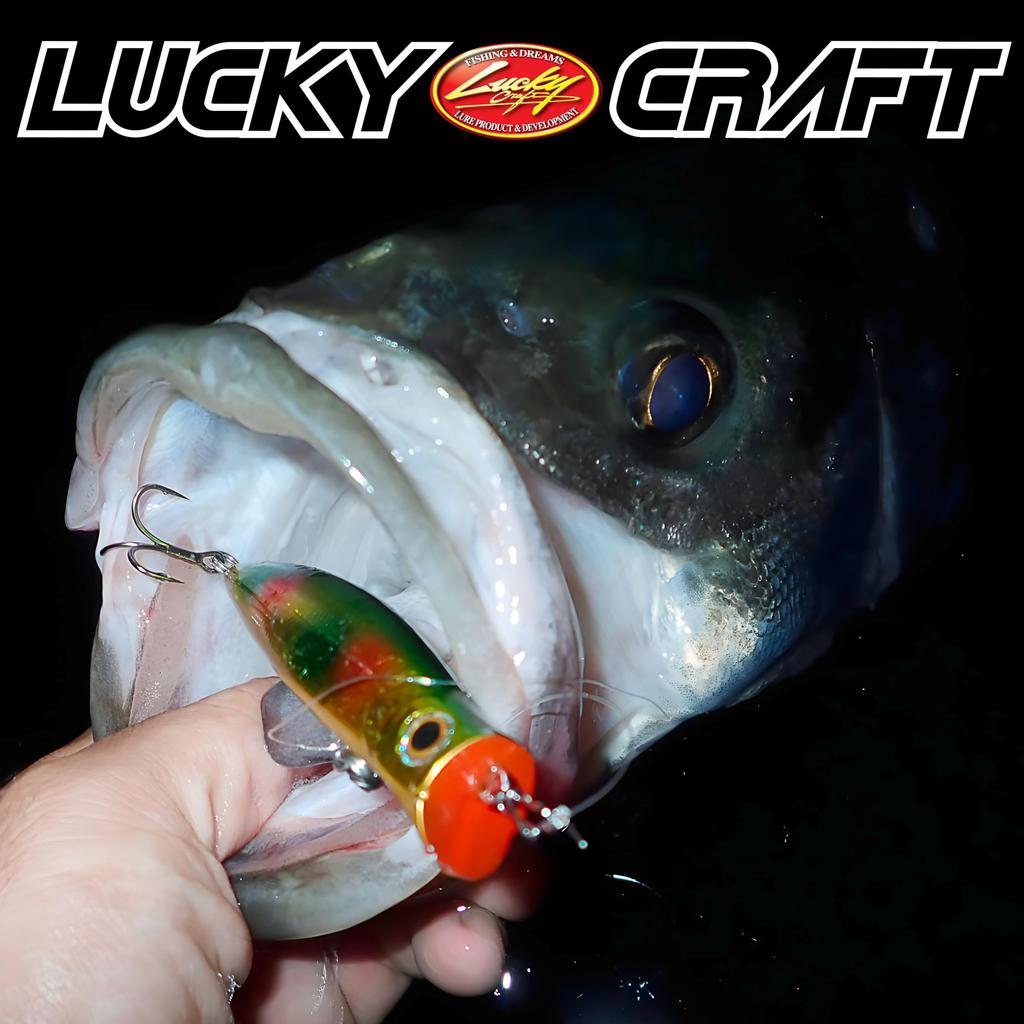 LUCKY CRAFT SW Surface Wonder 120 Рыболовная приманка Топвотер Морская рыбалка Белый (W007 Змея)