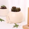 Cute Reader Smiling Face Flower Pot Resin Crafts Creative Succulent Flower Pot Desktop Decoration Ornaments