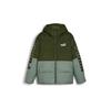 Куртка зимняя Puma 675389