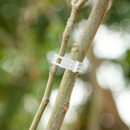 100 шт. зажимы для поддержки растений, экономящие трудозатраты, долговечные пластиковые подвесные зажимы для фиксации лозы для дома