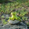 Indoor Miniature Landscape Polyresin Statue Fairy Garden Decor Home Decoration Figurine Frog Statue