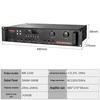 Lingsheng Home Karaoke System with Integrated Amplifier CN plug (adapter included)